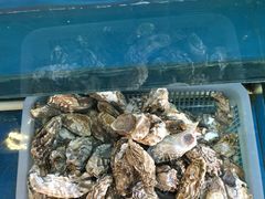 -渔中舟海鲜大排档(普陀沈家门店)
