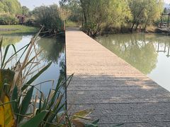 -长兴太湖图影湿地文化园