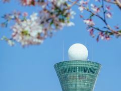 -狐尾山公园