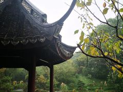 -上海醉白池公园