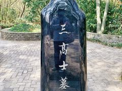 -上海佘山国家森林公园天马山园