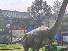 -黄陂区野村谷景区
