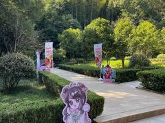 -上海佘山国家森林公园天马山园