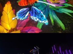 -淄博花灯齐彩城
