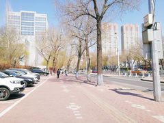 -黑龙江中医药大学
