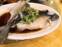 油盐蒸水库瘦身鲩鱼-粤·向群饭店(泮塘路店)