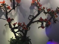 -安贞汤泉(安贞桥店)