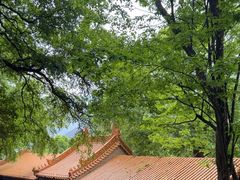 -终南山古楼观历史文化景区