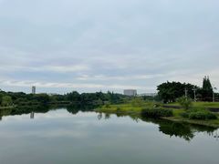 -四川大学(江安校区)