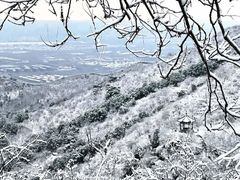 -香山公园