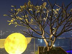 -广州柏悦酒店·悦景轩·粤菜餐厅