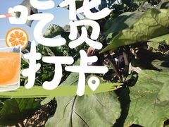 -锡林郭勒盟羊羊牧业股份有限公司