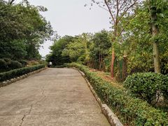 -九华山公园