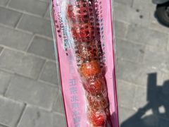 -和禄德冰糖葫芦(东四朝内菜市场店)