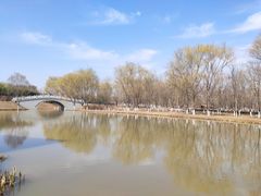 -西安浐灞国家湿地公园