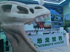 -深圳野生动物园