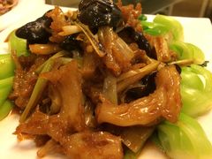 -鱼王府大酒店