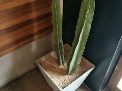 -朵朵开素食餐厅(后宰门街店)