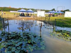 -武汉紫薇都市田园