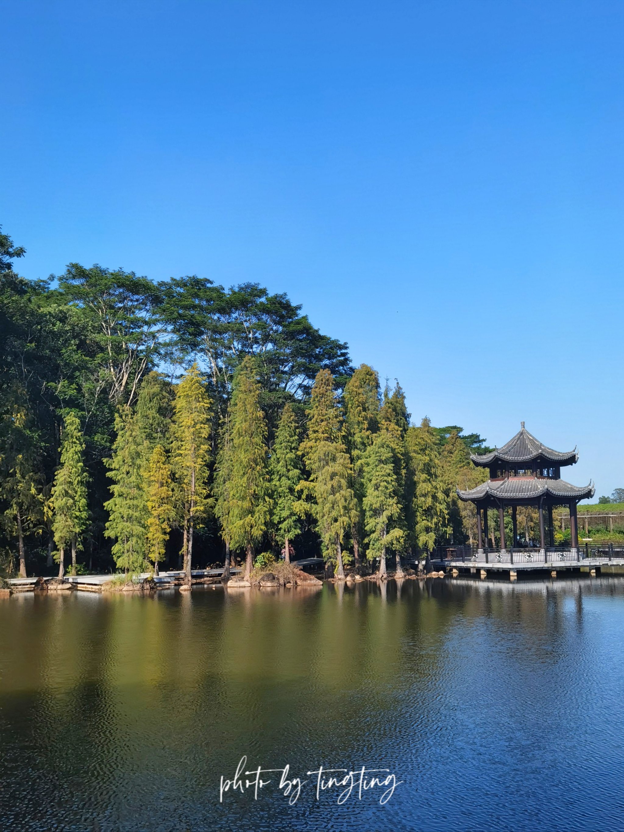 潮州饶平绿岛山庄