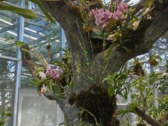 -国家植物园南园