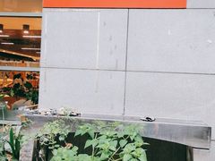 -素清香(解放路店)