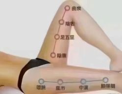-香薇妮丝女子减肥院