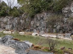 -上海吴淞炮台湾国家湿地公园
