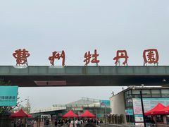 -曹州牡丹园