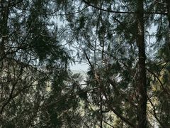 -四门塔风景区