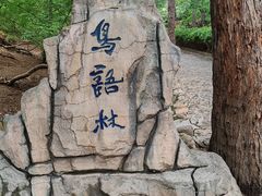 -燕塞湖鸟语林景区