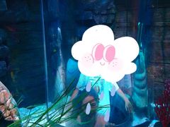 -沈阳海洋探索中心