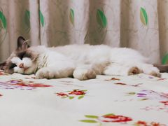 -优衣库(武汉国际广场店)