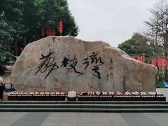 -荔湾湖公园