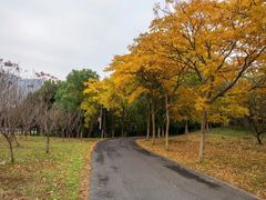 -大蜀山国家森林公园