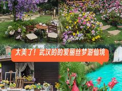 -HERRE·FARM 赫尔露营农场·团建聚会包场