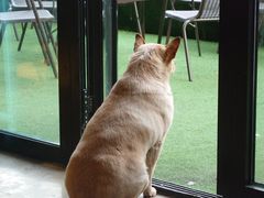 -Cactus墨西哥仙人掌餐厅