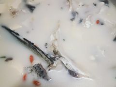 -全乐鱼馆·淳牌有机鱼直营店