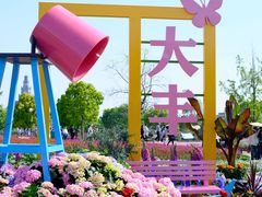 -荷兰花海