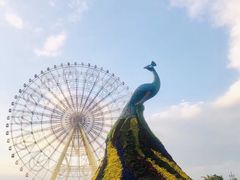 -七彩云南欢乐世界