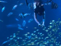 -太平洋海底世界