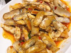 蛏子-盒马鲜生(大行宫店)