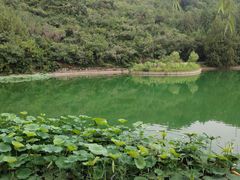 -静之湖湖畔餐厅