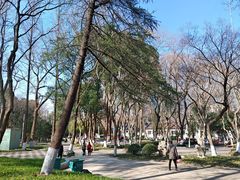 -赭山公园