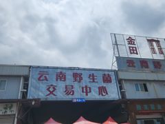 -山人野生菌餐厅