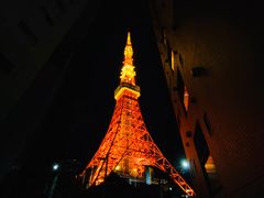 -东京塔海贼王主题公园