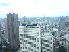 -东京都厅舍