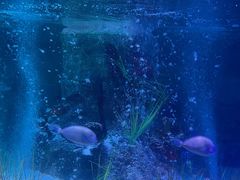 -沈阳海洋探索中心