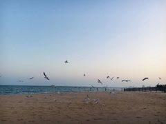 -北戴河东海水浴场