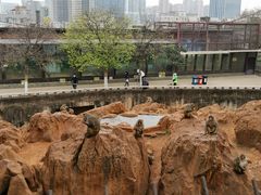 -昆明动物园